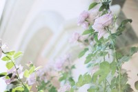 /album/zivot/lacoste3-jpg/