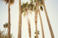 /album/zivot/philliplim7-jpg/